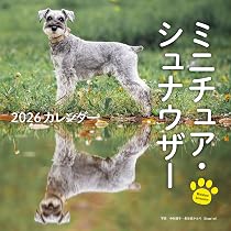 91Zm+vqBIcL._AC_UL210_SR210,